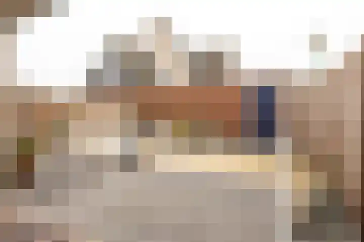 Cornelis van Haarlemlaan 1 Lopik thumbnail 4