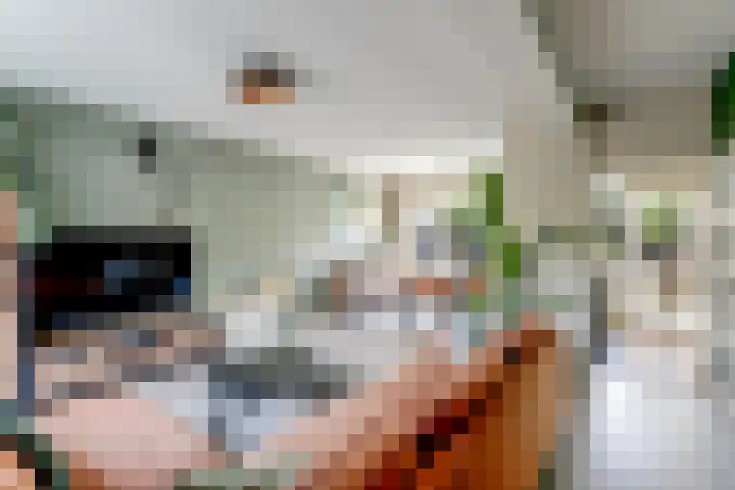 Cornelis van Mieropstraat 12 Hoogwoud thumbnail 11