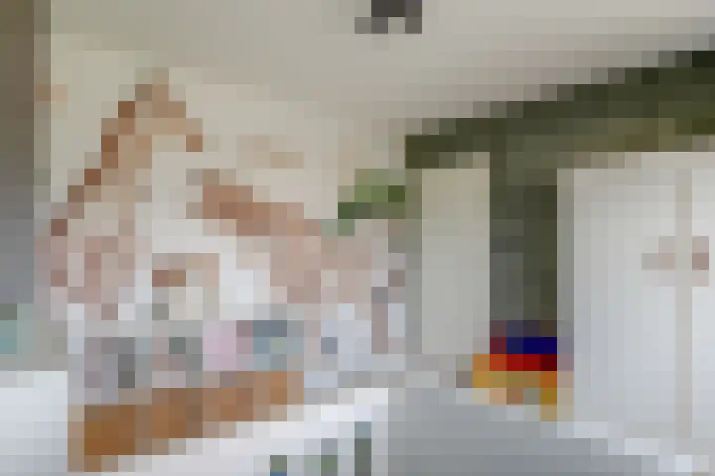 Cornelis van Mieropstraat 12 Hoogwoud thumbnail 31