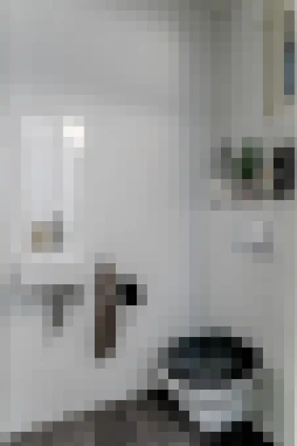 Cornelis van Mieropstraat 12 Hoogwoud thumbnail 9