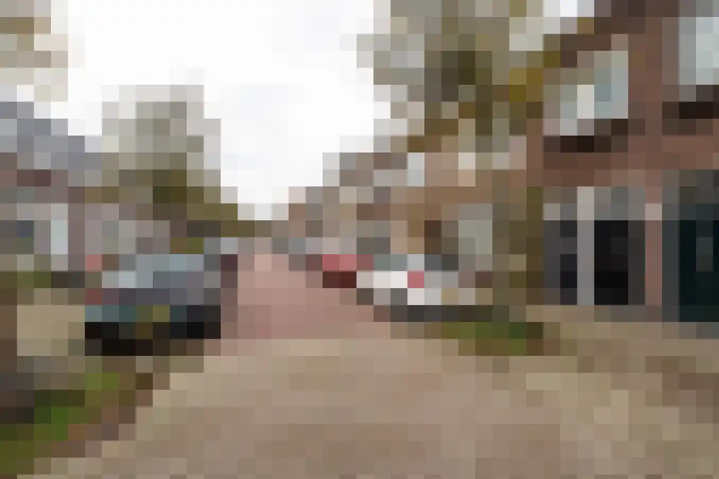 Cornelis van Noordestraat 20 A Haarlem thumbnail 24