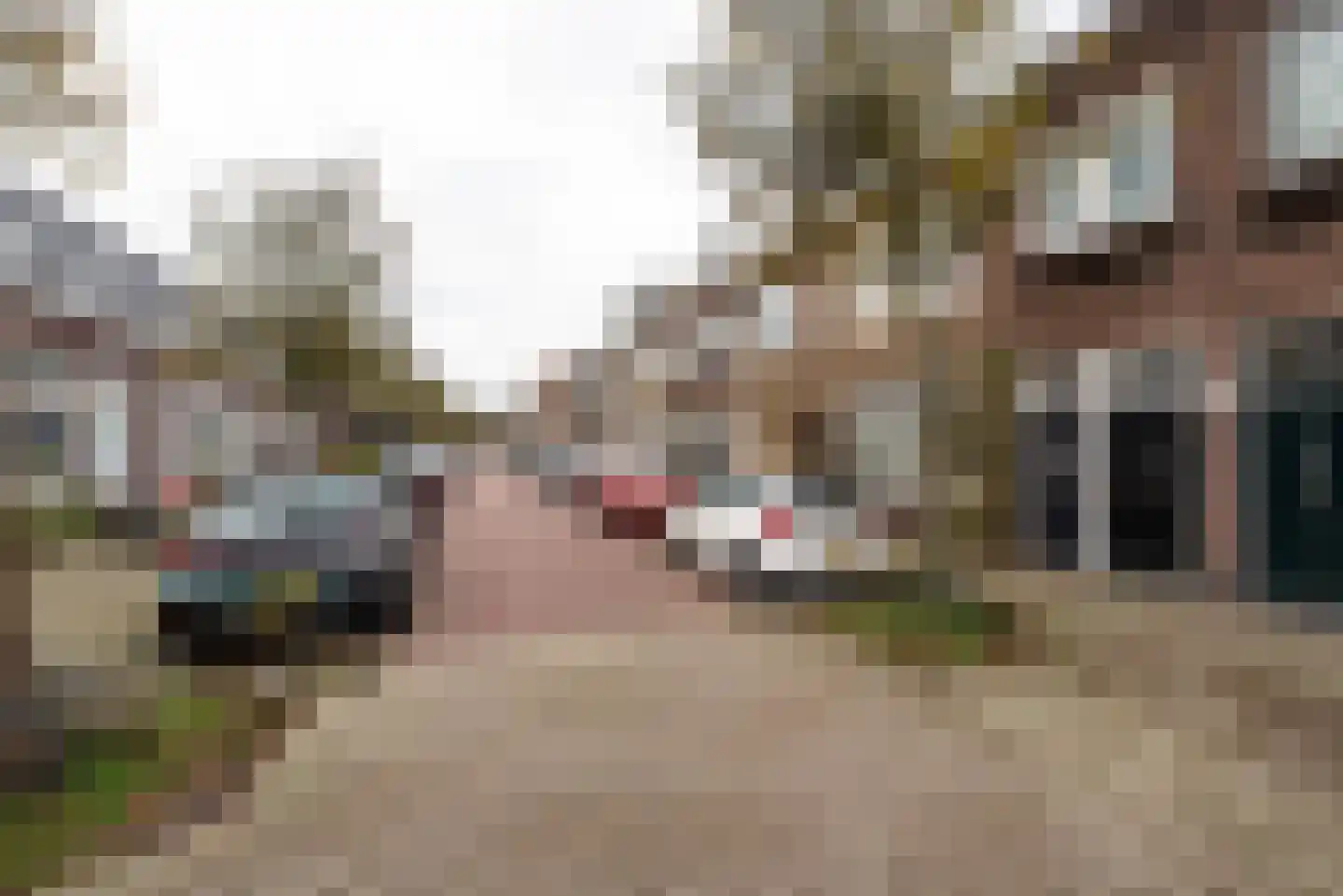 Cornelis van Noordestraat 20 A Haarlem thumbnail 27