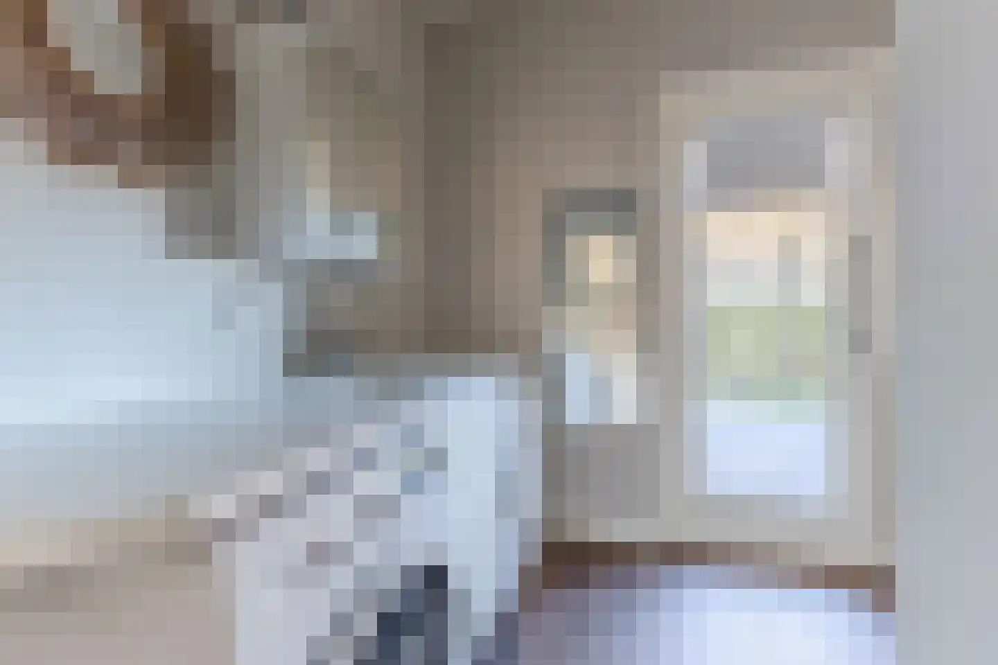Cornelis van Noordestraat 20 ZW Haarlem thumbnail 17