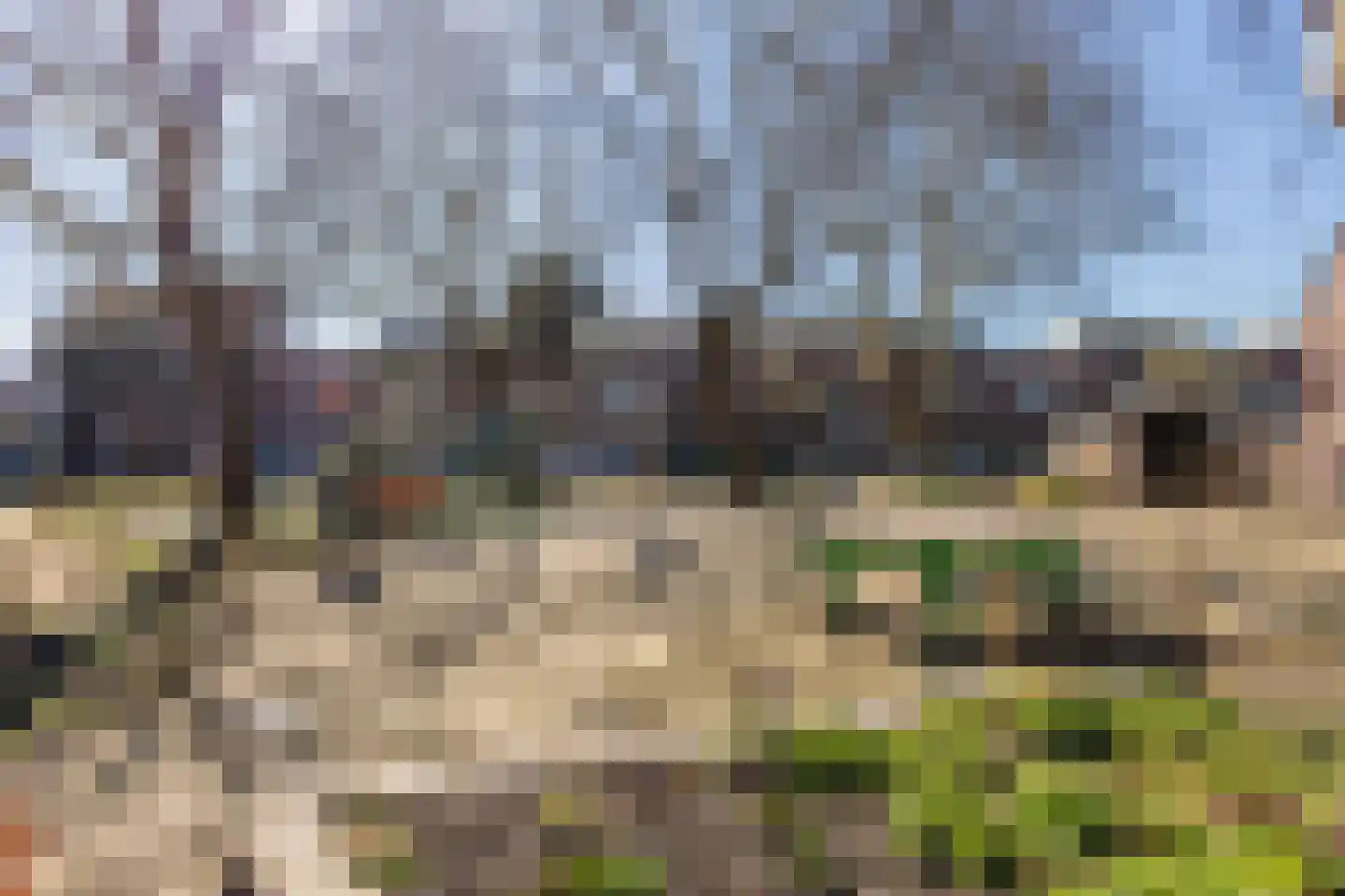 Cornelis van Noordestraat 20 ZW Haarlem thumbnail 22