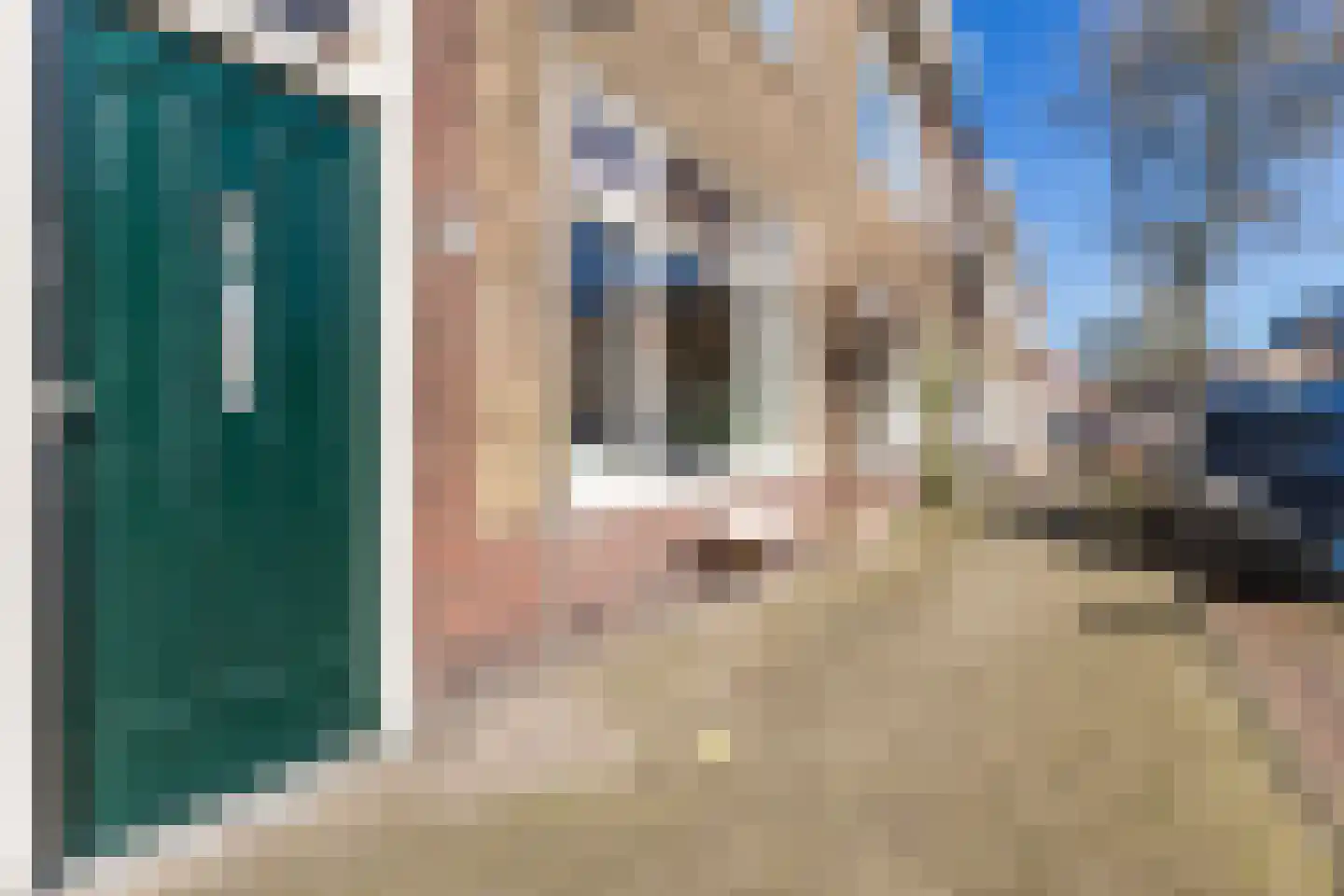 Cornelis van Noordestraat 20 ZW Haarlem thumbnail 6