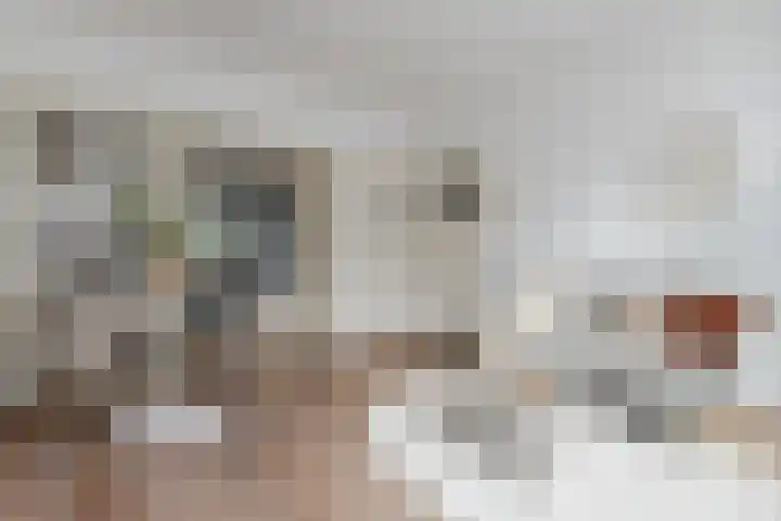 Cornelis van Noordestraat 22 ZW Haarlem thumbnail 22