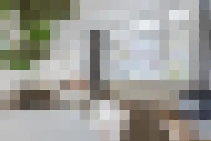 Cornelis van Noordestraat 22 ZW Haarlem thumbnail 25