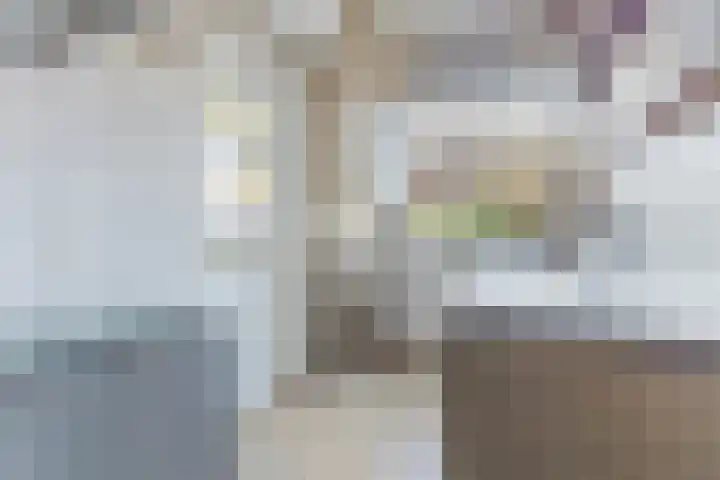 Cornelis van Noordestraat 22 ZW Haarlem thumbnail 28
