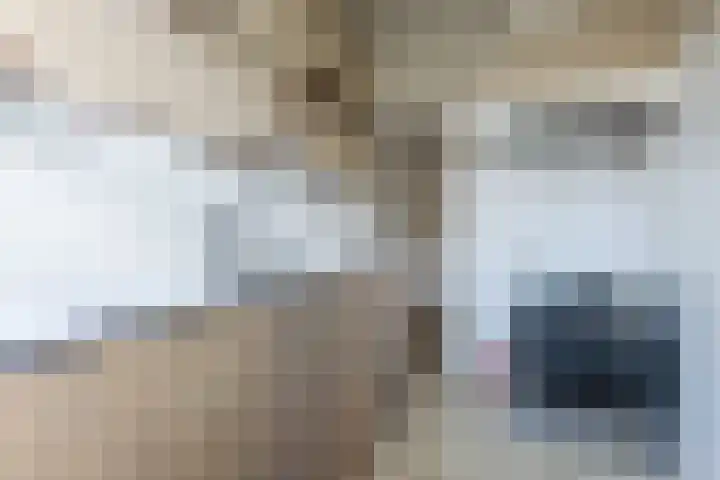 Cornelis van Noordestraat 22 ZW Haarlem thumbnail 29