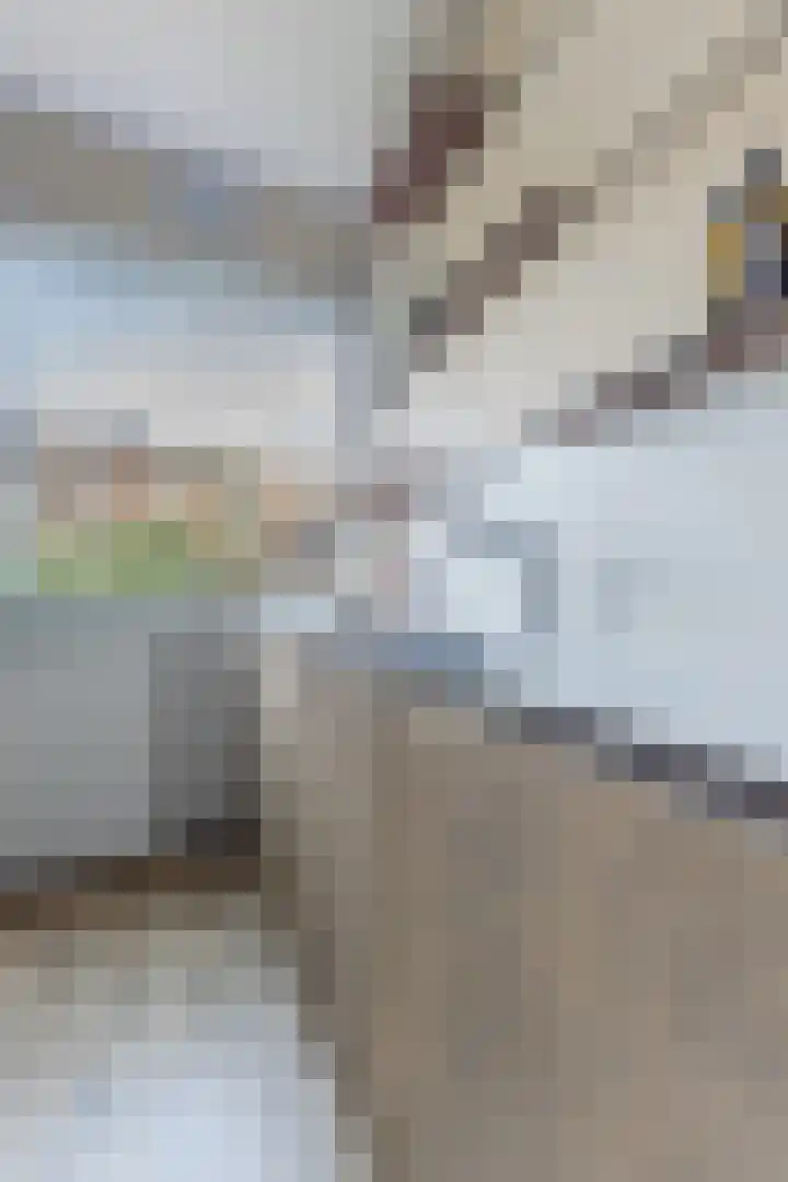 Cornelis van Noordestraat 22 ZW Haarlem thumbnail 30