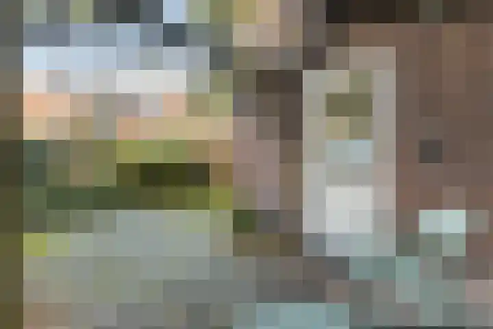 Cornelis van Noordestraat 22 ZW Haarlem thumbnail 39