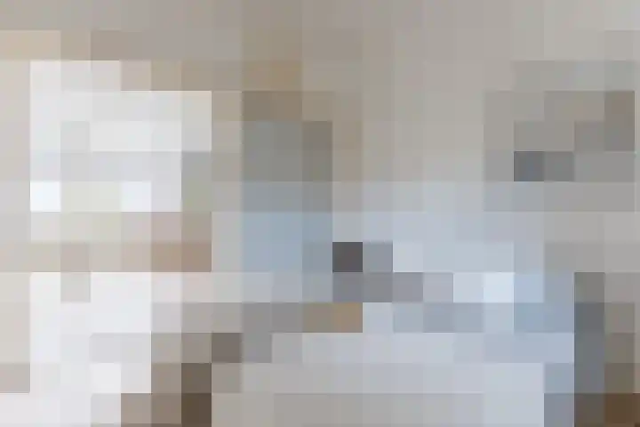 Cornelis van Noordestraat 22 ZW Haarlem thumbnail 4