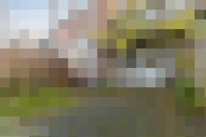Cornelis van Noordestraat 22 ZW Haarlem thumbnail 41