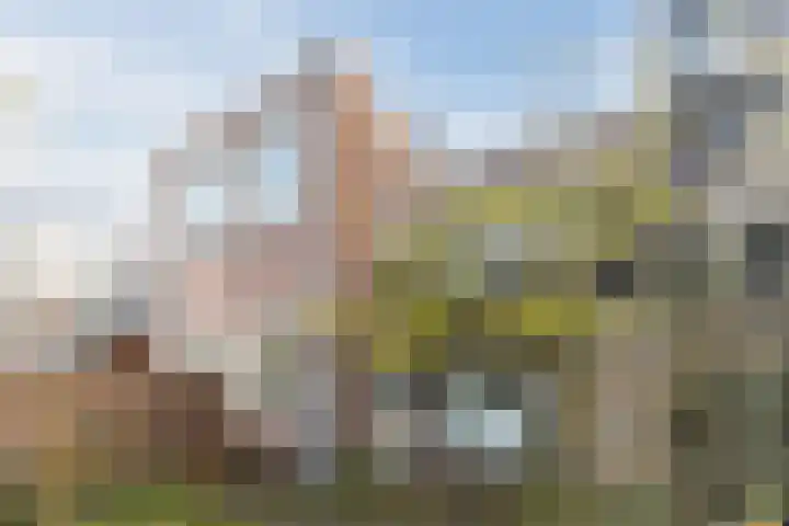 Cornelis van Noordestraat 22 ZW Haarlem thumbnail 42