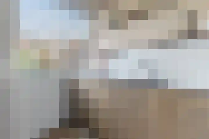 Cornelis van Noordestraat 22 ZW Haarlem thumbnail 5