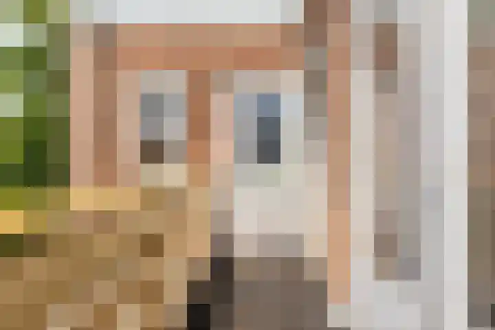 Cornelis van Noordestraat 40 RD Haarlem thumbnail 32