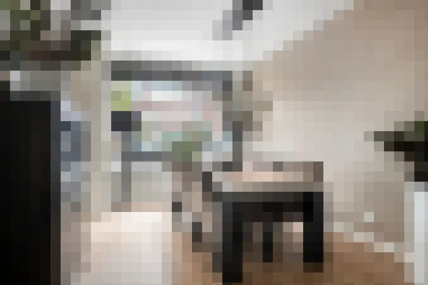 Cornelis van Noordestraat 44 Haarlem thumbnail 10
