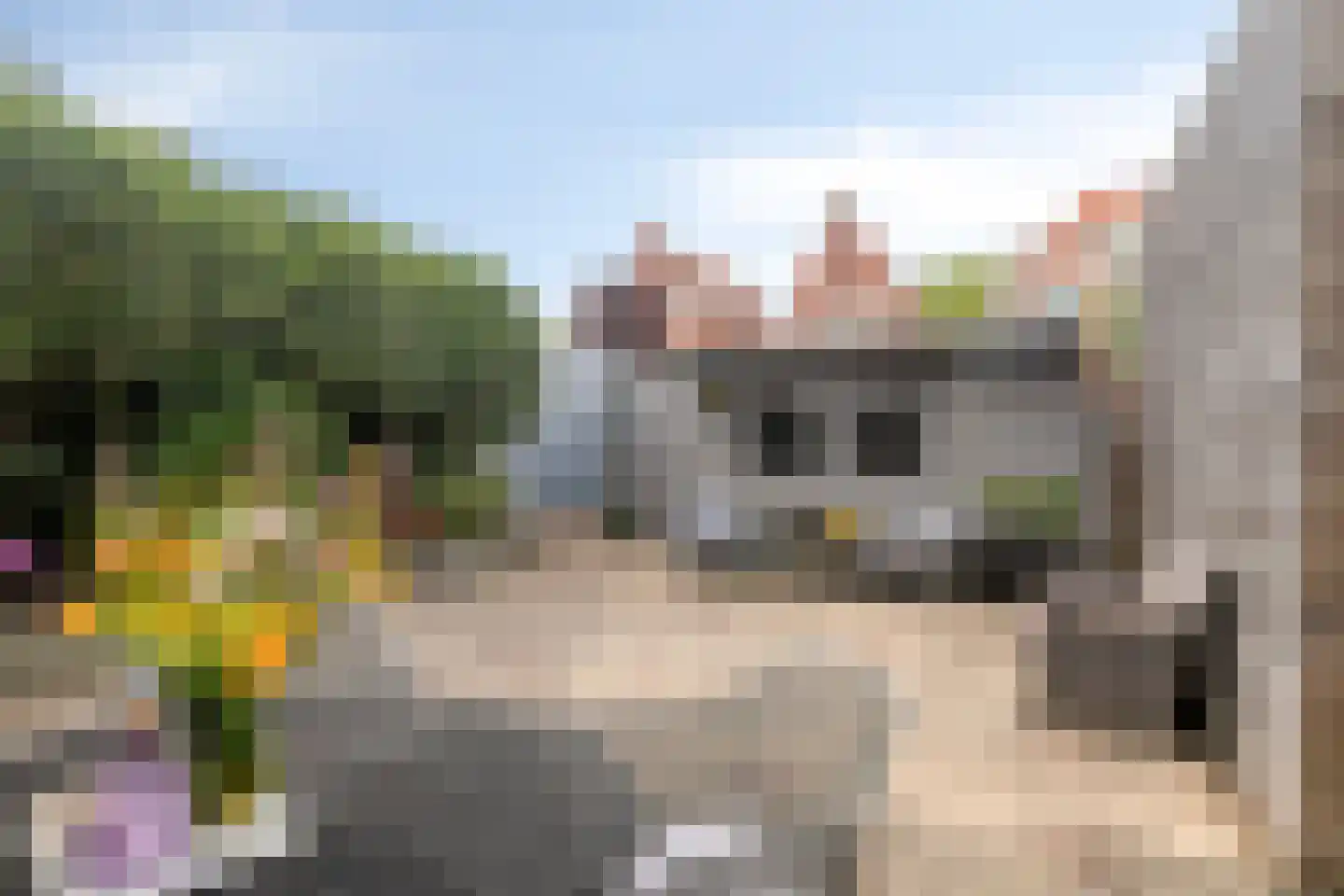 Cornelis van Noordestraat 44 Haarlem thumbnail 19