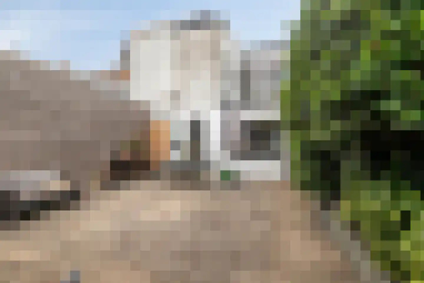 Cornelis van Noordestraat 44 Haarlem thumbnail 20