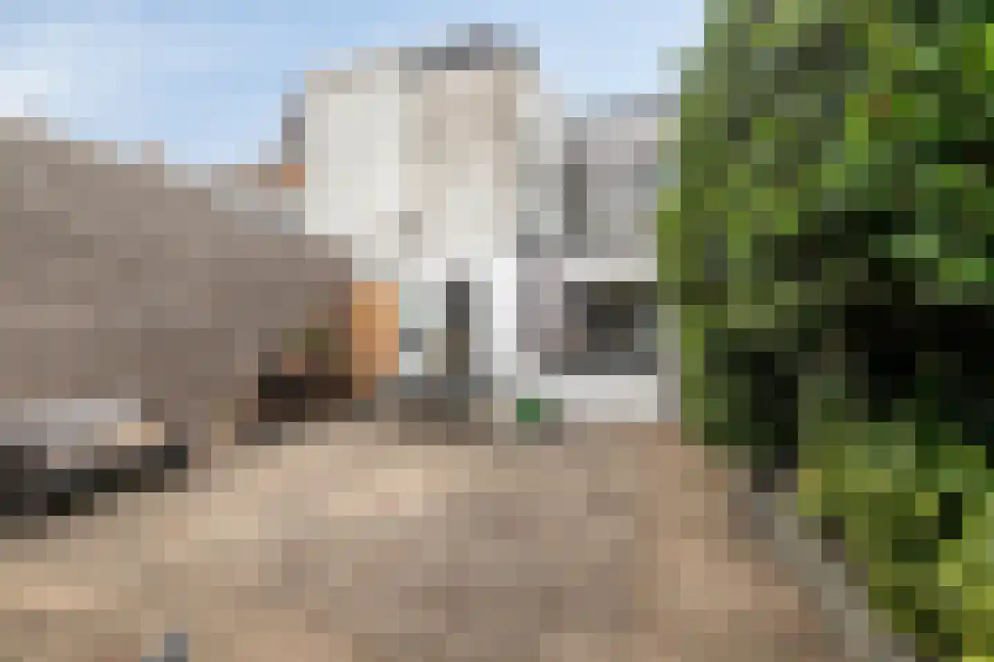 Cornelis van Noordestraat 44 Haarlem thumbnail 21