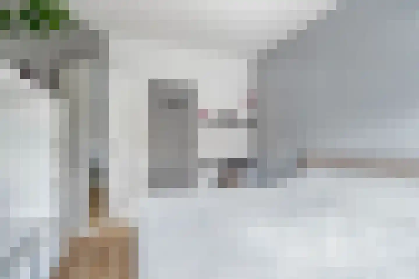 Cornelis van Noordestraat 44 Haarlem thumbnail 25