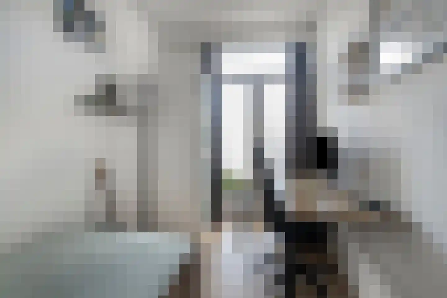 Cornelis van Noordestraat 44 Haarlem thumbnail 26