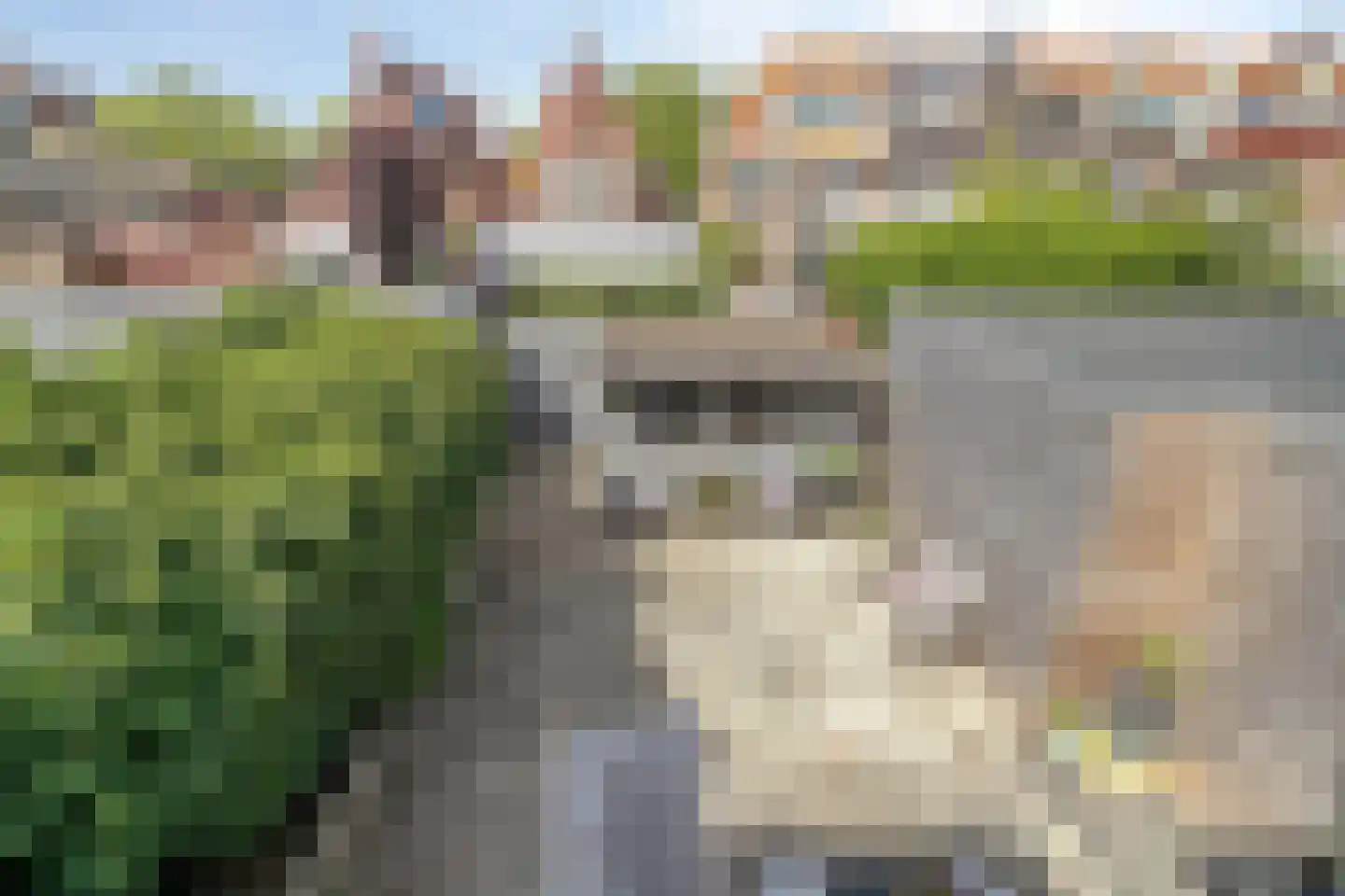 Cornelis van Noordestraat 44 Haarlem thumbnail 31