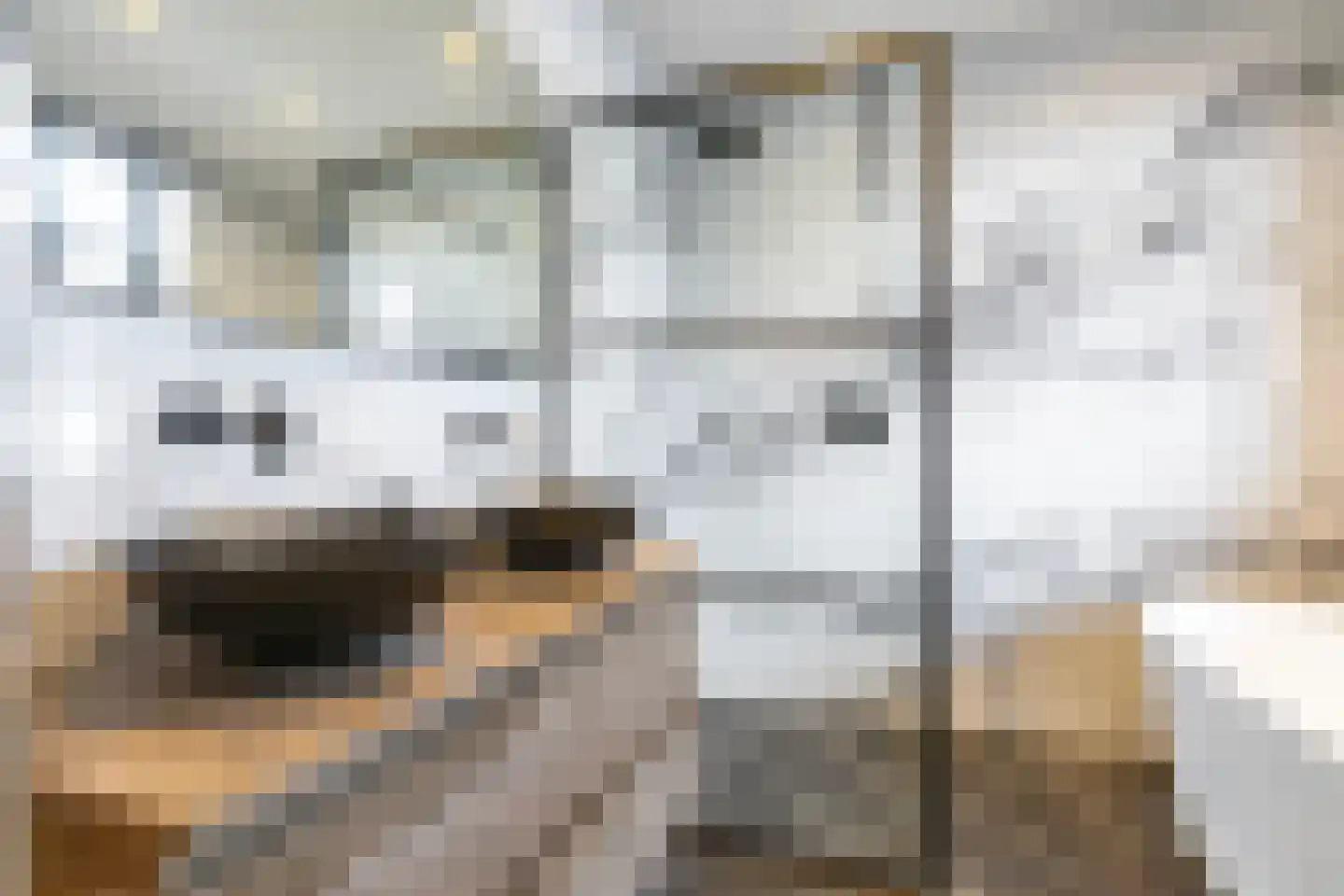 Cornelis van Norrenstraat 10 Bussum thumbnail 11