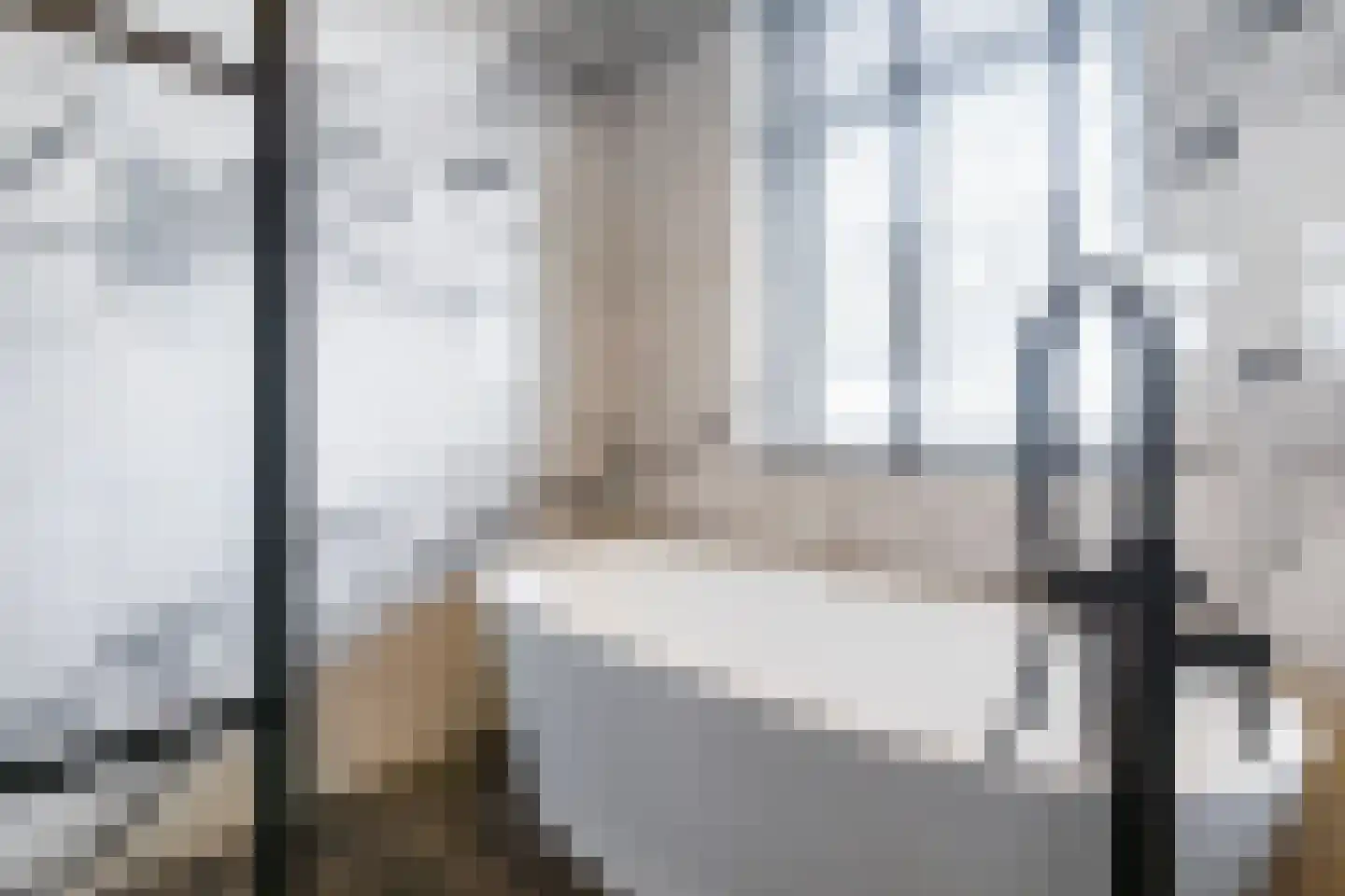 Cornelis van Norrenstraat 10 Bussum thumbnail 12