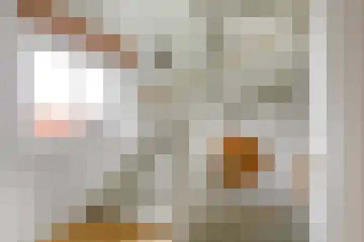 Cornelis van Norrenstraat 10 Bussum thumbnail 13