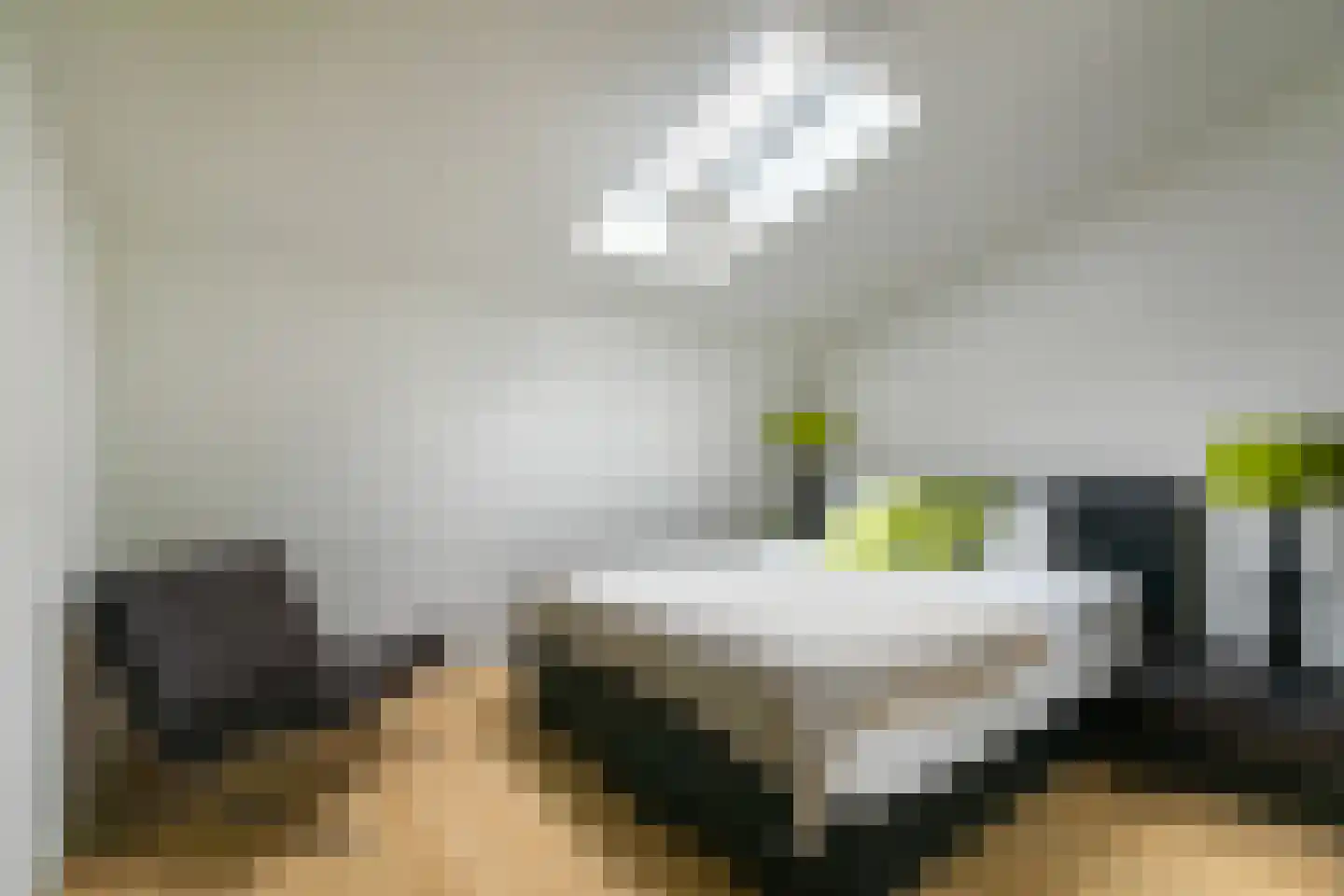 Cornelis van Norrenstraat 10 Bussum thumbnail 16