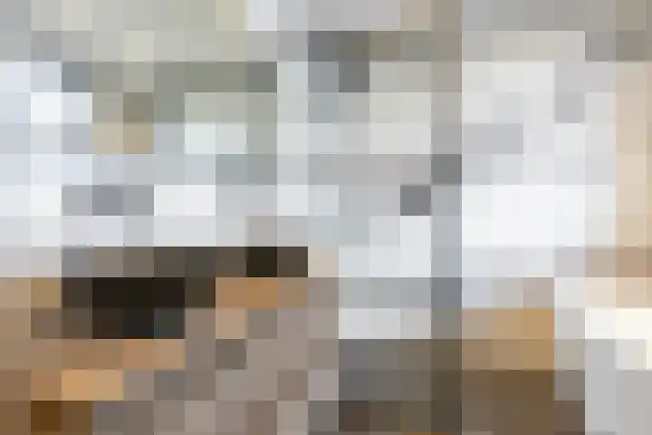 Cornelis van Norrenstraat 10 Bussum thumbnail 16