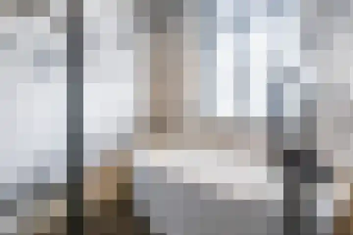Cornelis van Norrenstraat 10 Bussum thumbnail 17