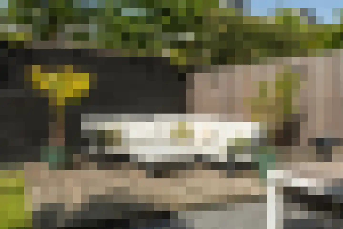 Cornelis van Norrenstraat 10 Bussum thumbnail 21