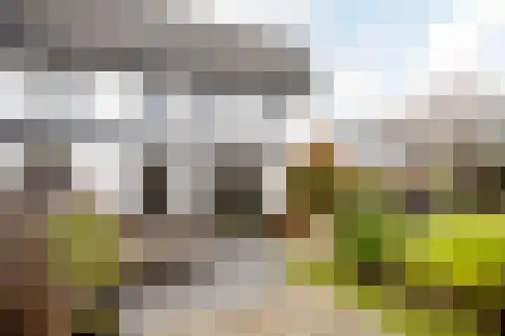 Cornelis van Norrenstraat 10 Bussum thumbnail 25