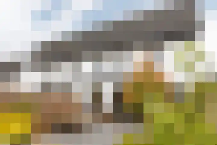 Cornelis van Norrenstraat 10 Bussum thumbnail 26