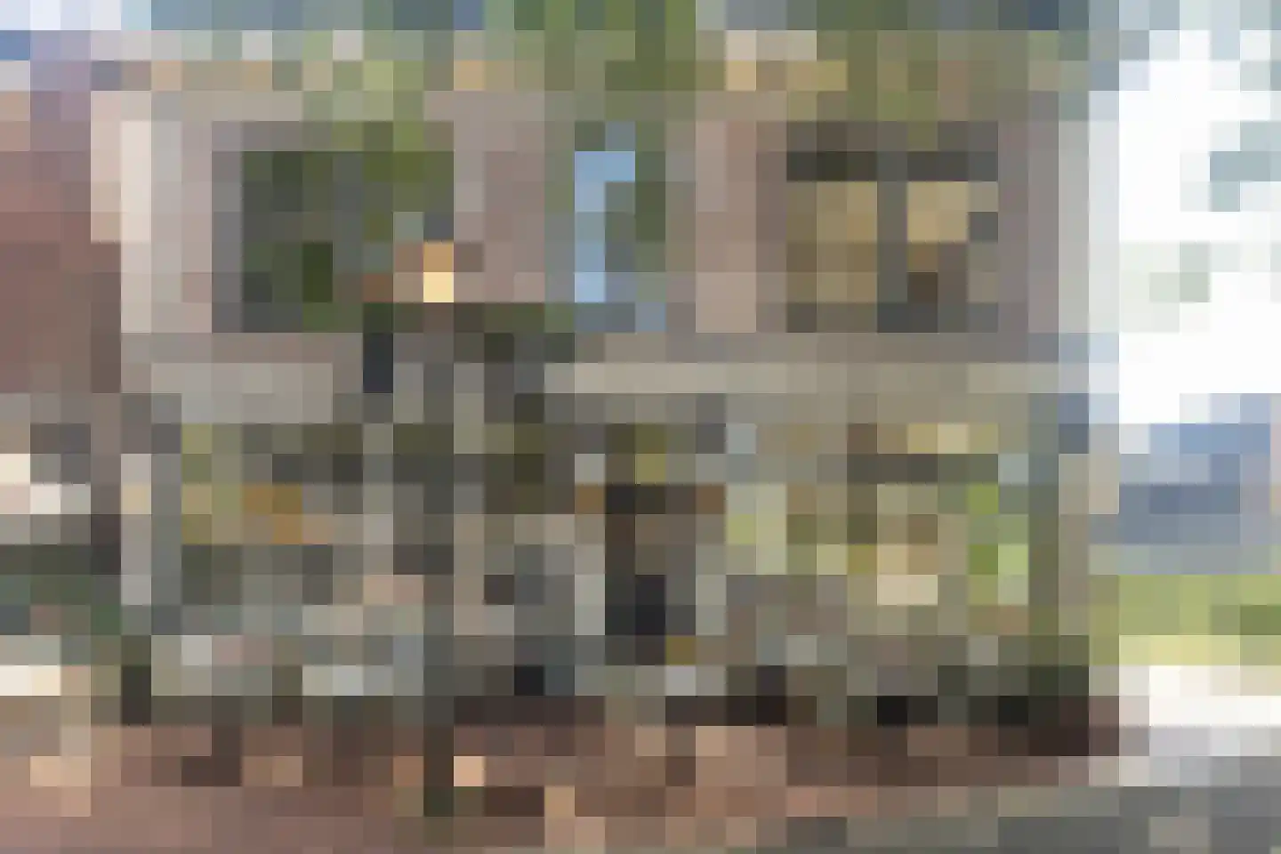 Cornelis van Norrenstraat 10 Bussum thumbnail 26