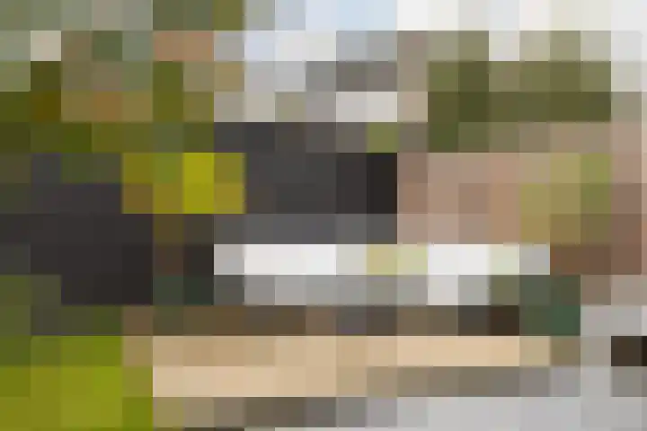 Cornelis van Norrenstraat 10 Bussum thumbnail 27