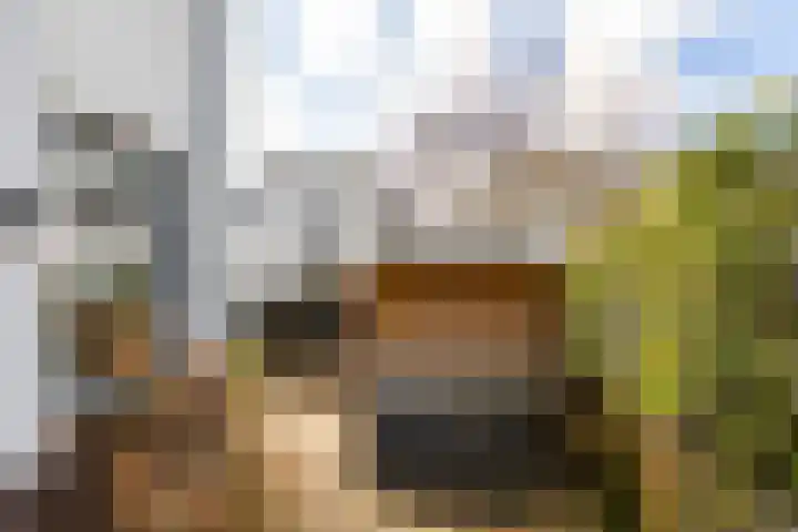 Cornelis van Norrenstraat 10 Bussum thumbnail 30