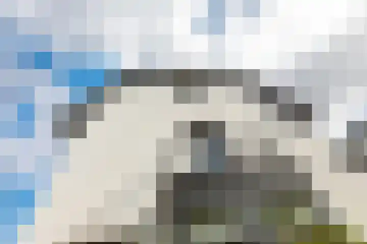 Cornelis van Norrenstraat 10 Bussum thumbnail 31