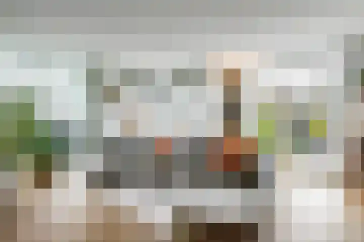 Cornelis van Norrenstraat 10 Bussum thumbnail 4