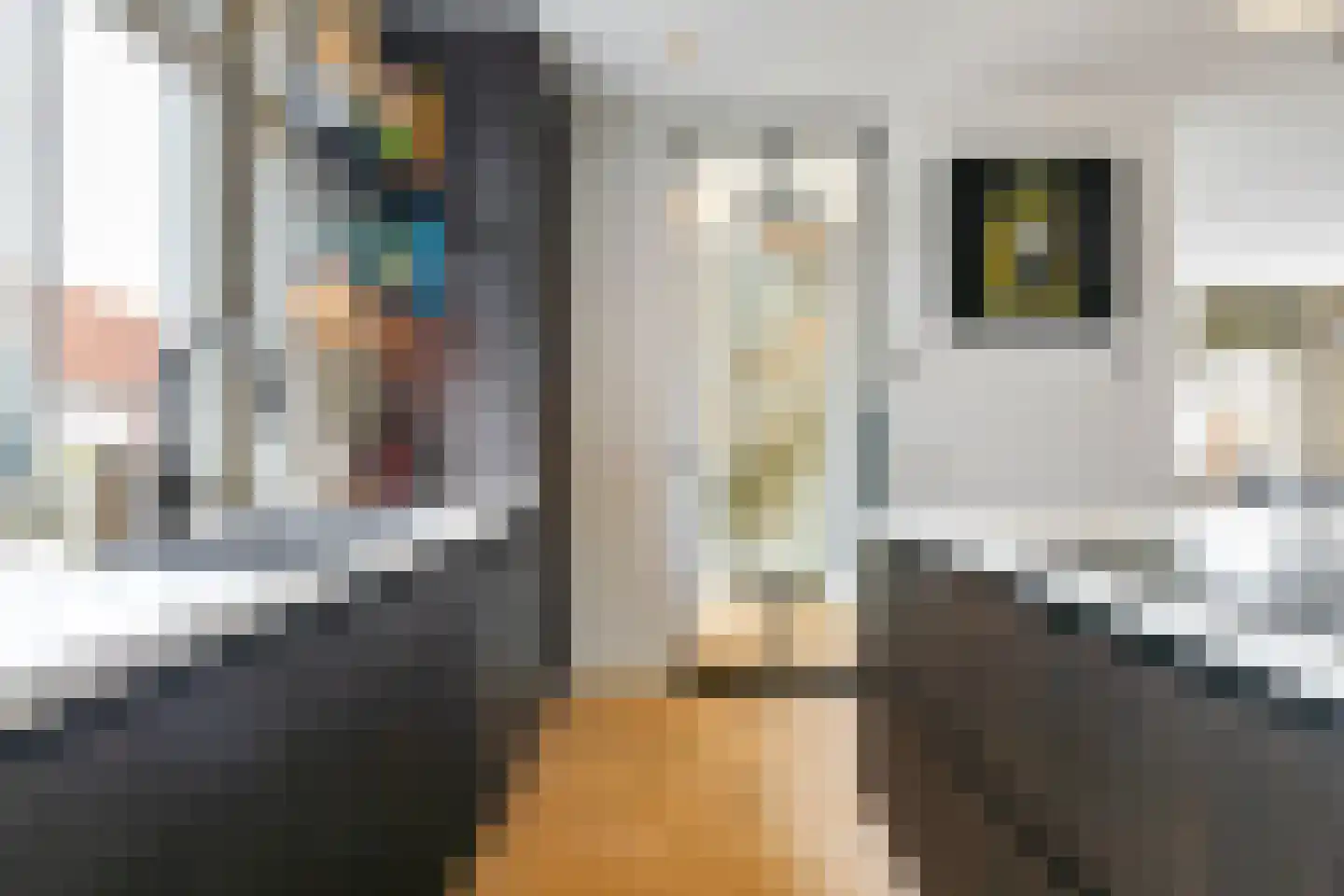 Cornelis van Norrenstraat 10 Bussum thumbnail 8