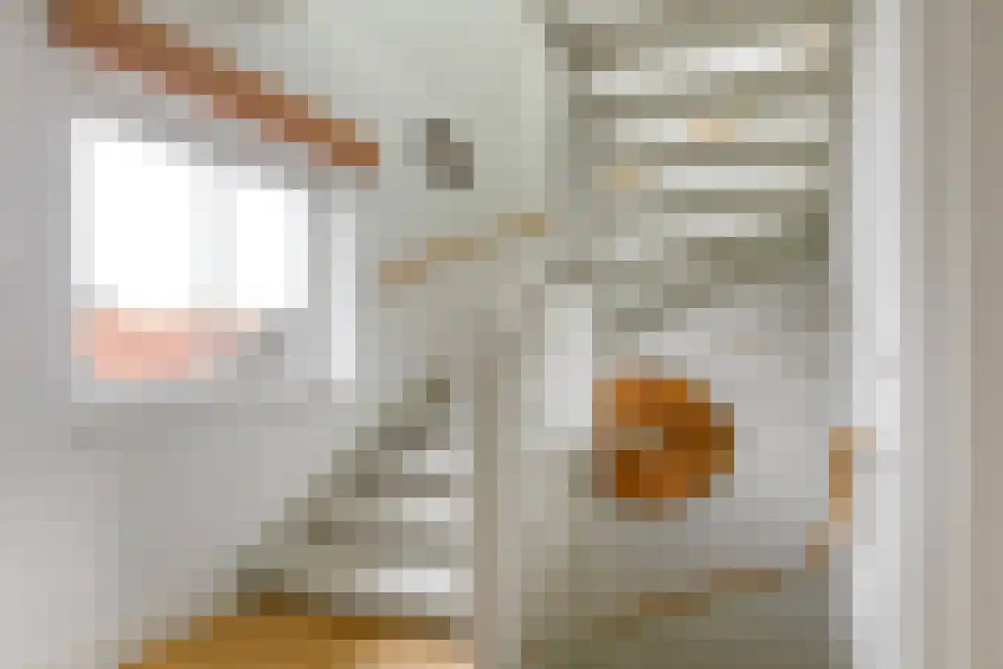 Cornelis van Norrenstraat 10 Bussum thumbnail 9