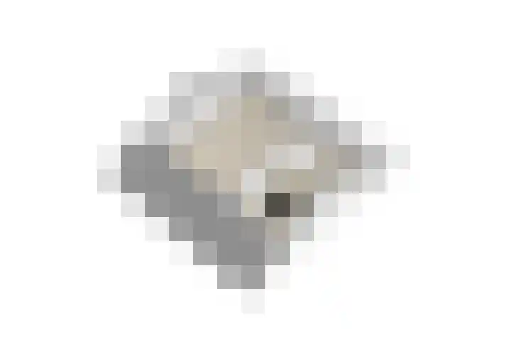 Cornelis van Perestraat 13 Oost-Souburg thumbnail 29
