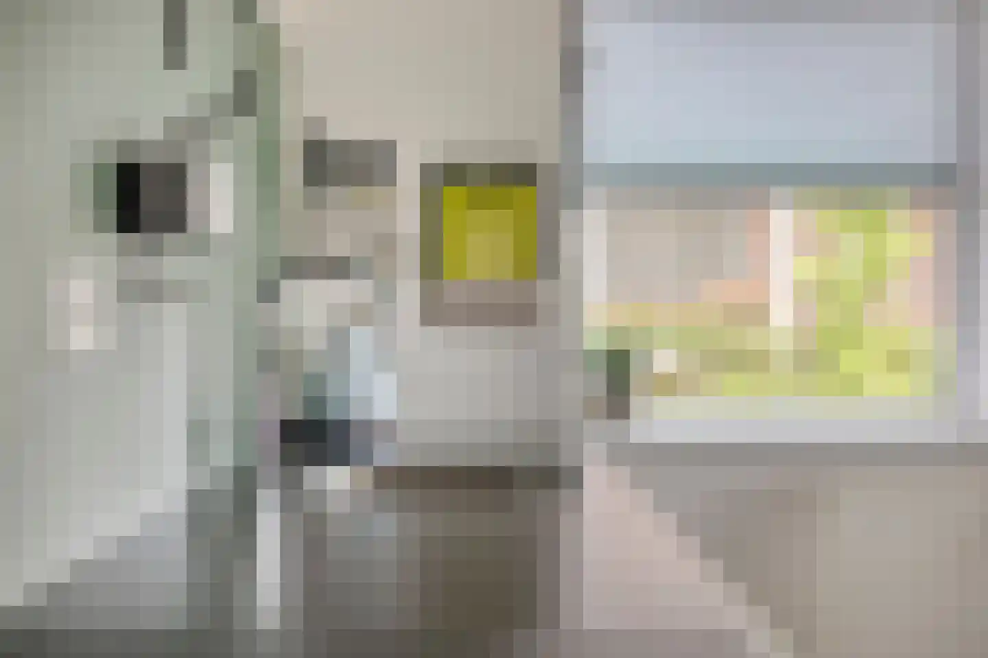 Cornelis van Perestraat 8 Oost-Souburg thumbnail 12
