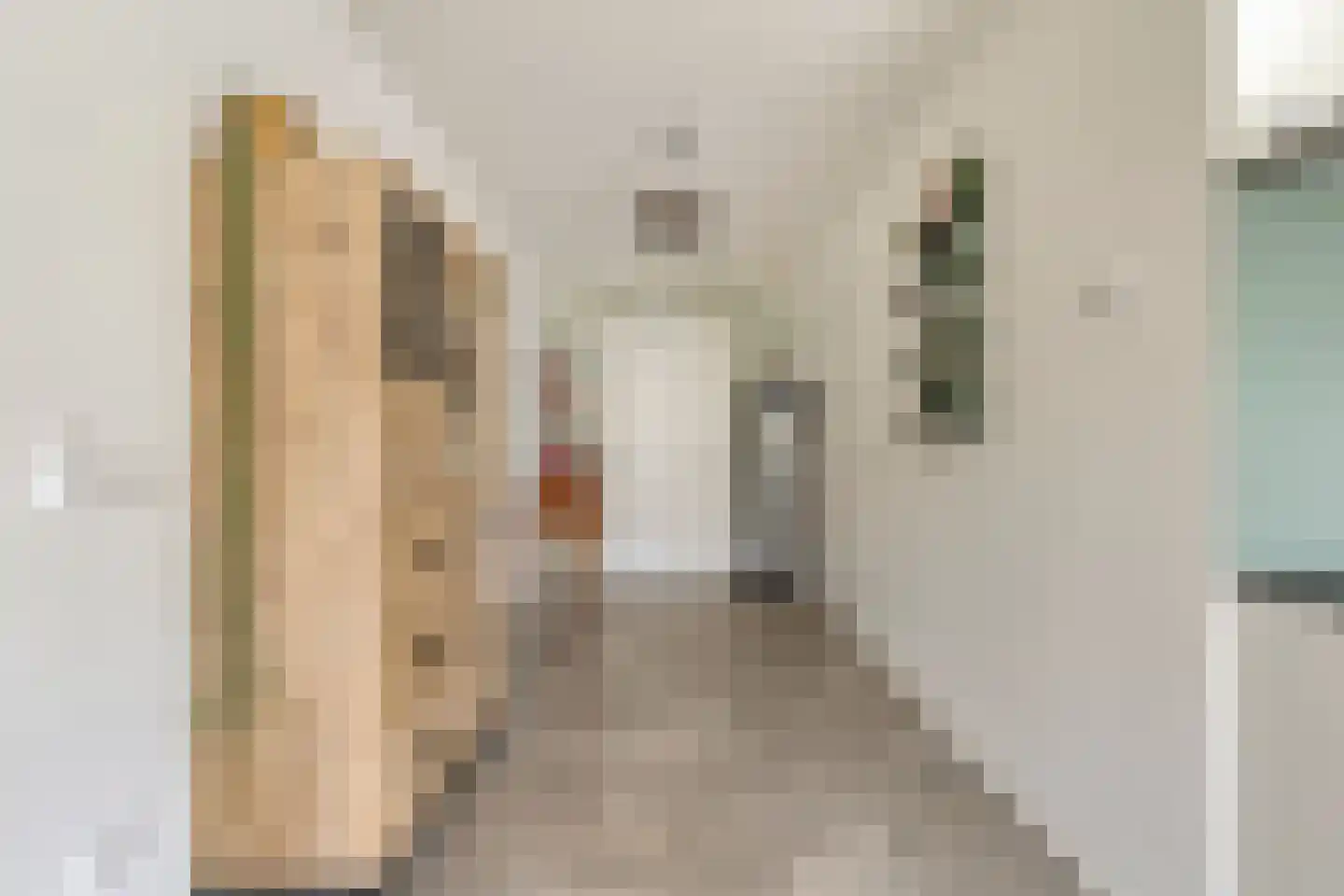 Cornelis van Perestraat 8 Oost-Souburg thumbnail 13