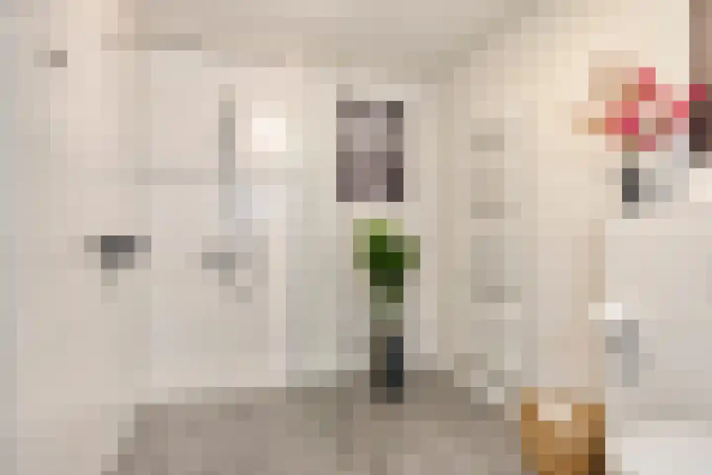 Cornelis van Perestraat 8 Oost-Souburg thumbnail 21