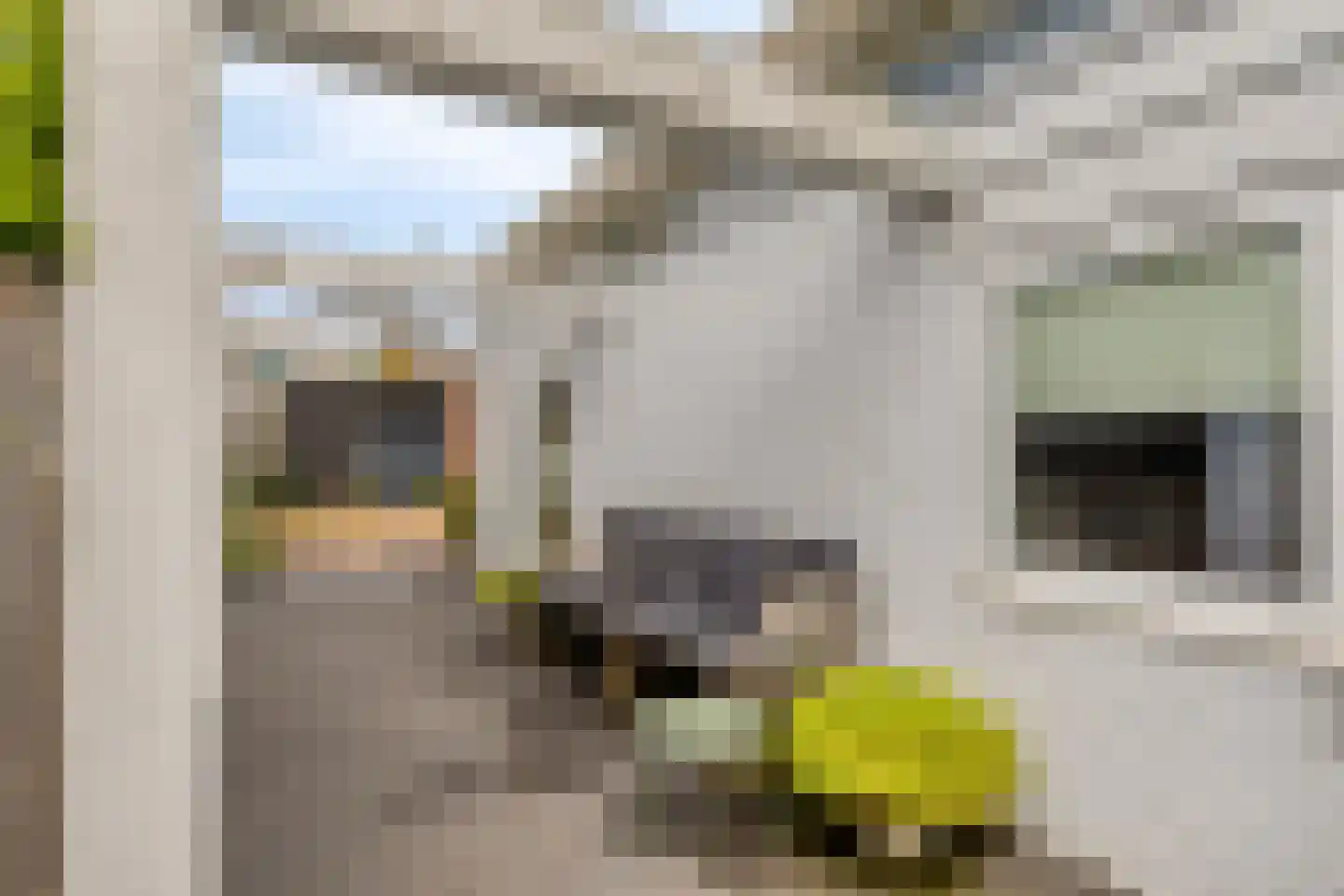 Cornelis van Perestraat 8 Oost-Souburg thumbnail 27