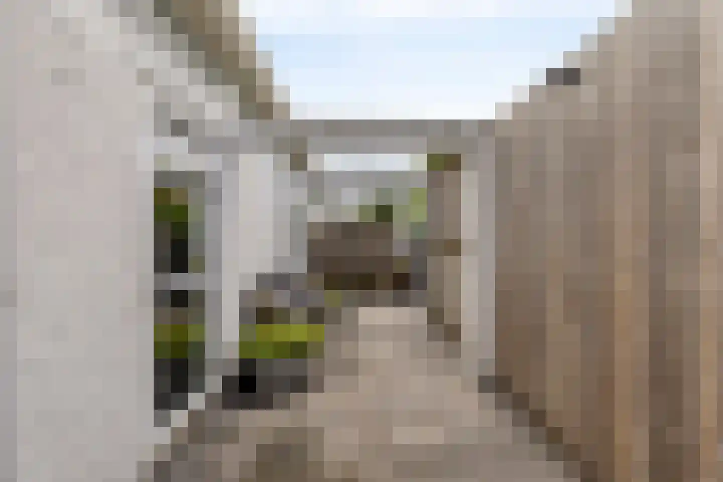 Cornelis van Perestraat 8 Oost-Souburg thumbnail 28