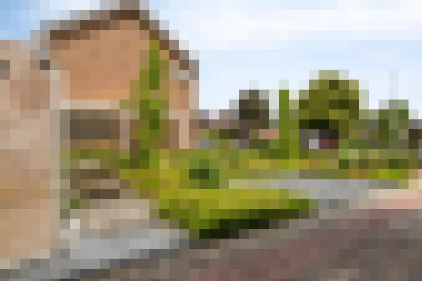 Cornelis van Perestraat 8 Oost-Souburg thumbnail 30